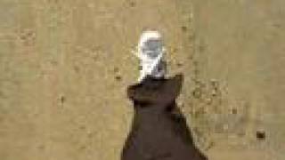 All For Love - Sean Hayes - Walking