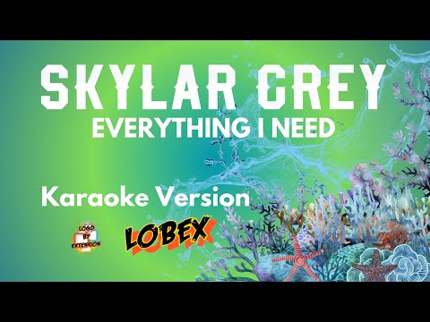 EVERYTHING I NEED - Skylar Grey Karaoke