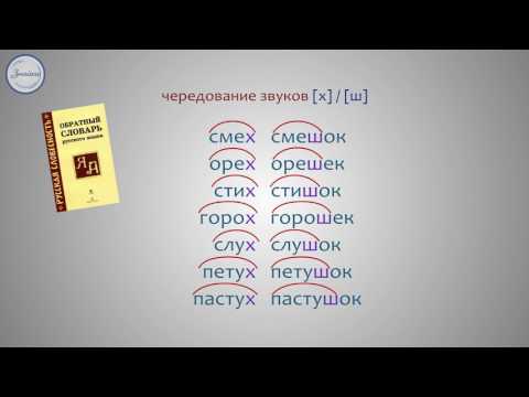 Чередование звуков в корнях слов, которое видно на письме