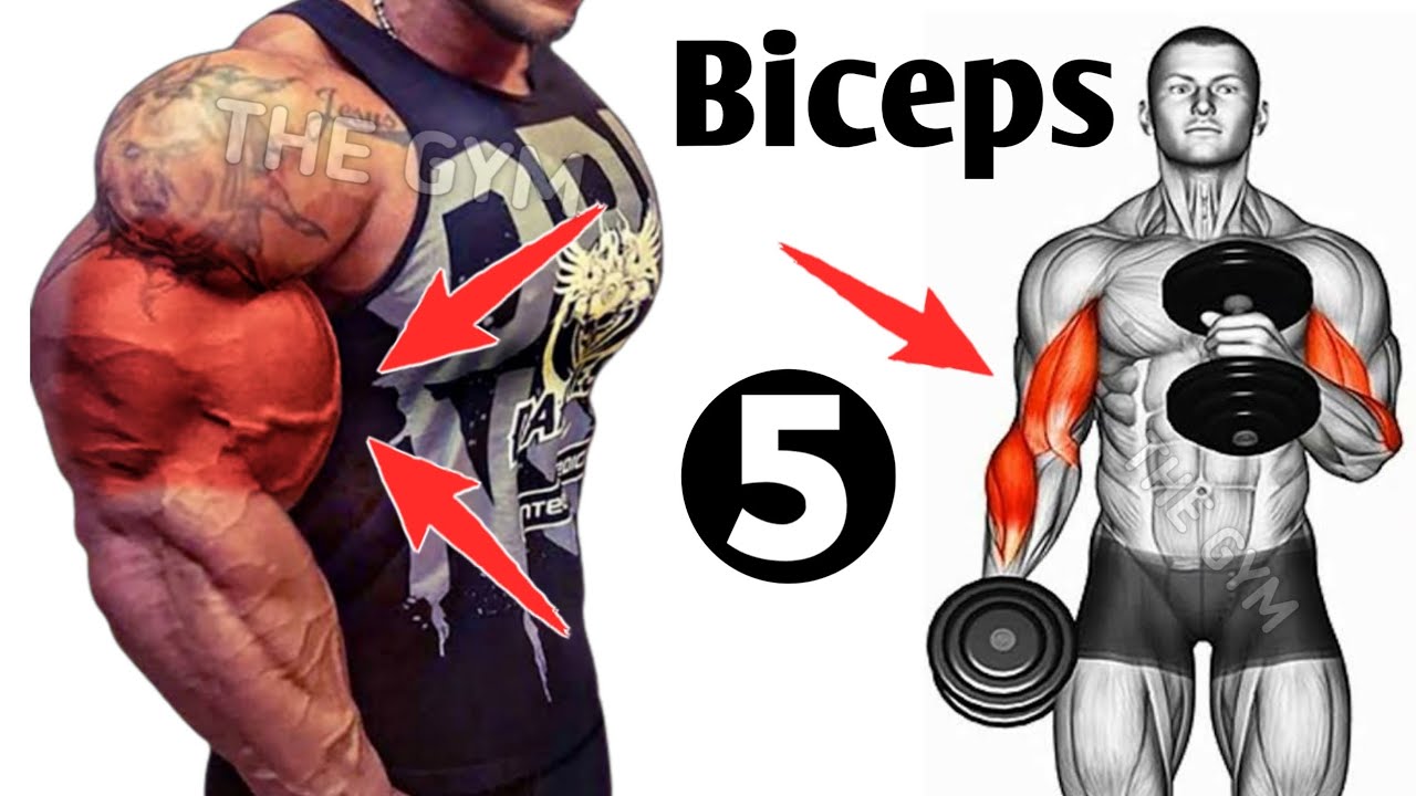 5 Fastest Big Biceps Exercises - Biceps Workout