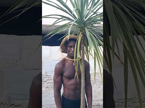 BIO CONNECTIVITY - CELIO DIAS & DRACAENA #bio #connectivity #bihemispheric #shorts