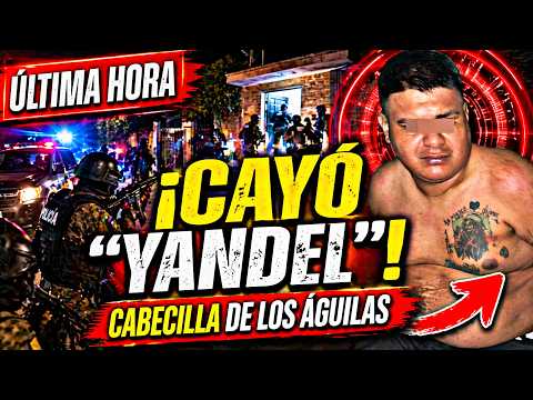 🚨 ÚLTIMA HORA: Capturan a “Yandel”, cabecilla de Los Águilas en Naranjito