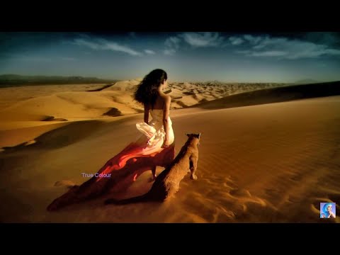 Andy Leech x Fyze - Alchemy