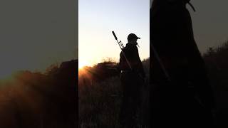 🏴󠁧󠁢󠁳󠁣󠁴󠁿 Schottland Bockjagd. Eine neue Erfahrung 😃 jetzt auf HOD🎞️ #bockjagd #jagd #roebuck