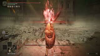 約束の王 ガーゴイルの黒剣 Lv120 加護18 エルデンリング DLC ラスボス (初攻略時)【ELDEN RING DLC BOSS:Promised Consort Radahn SOLO】