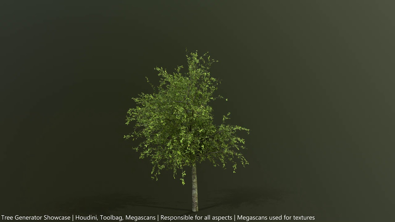 Procedural Trees