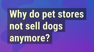 Why do pet stores not sell dogs anymore?