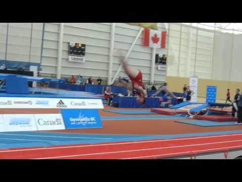 CAN Cup 2016 Brandon Kryznefski USA 2nd pass Finals Tumbling