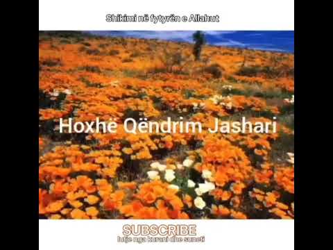 29. Shikimi në fytyrën e Allahut - Qëndrim Jashari.