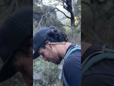 “El sendero secreto de los 7 saltos 🌄 | San Luis” #naturaleza #trekking #senderismo