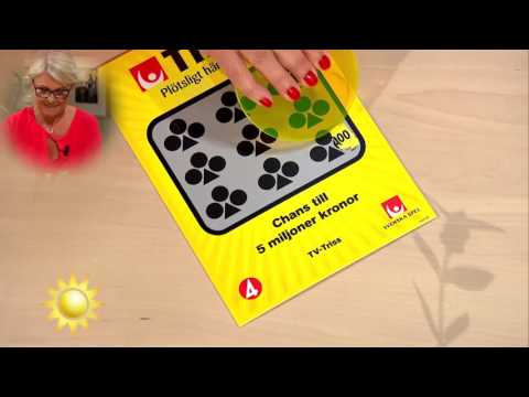 Trissvinnaren i chock: "Nu blir det både fiber och träningsresa" - Nyhetsmorgon (TV4)