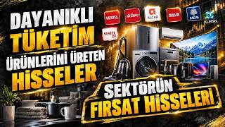 Dayanıklı Tüketim Sektörü Hisseleri Analizi | Hisse Yorumları ve Detaylı BIST İn