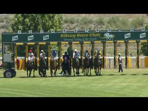 Hallside Fandango - Kilcoy Race 1