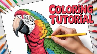 How To Draw a Colorful Parrot Step By Step
