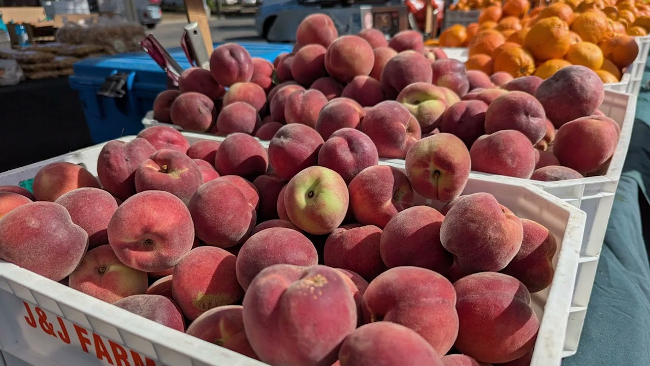 Farm to Every Fork. Alchemist CDC's Food Equity, Community Gardens and Nutritional Education Works.