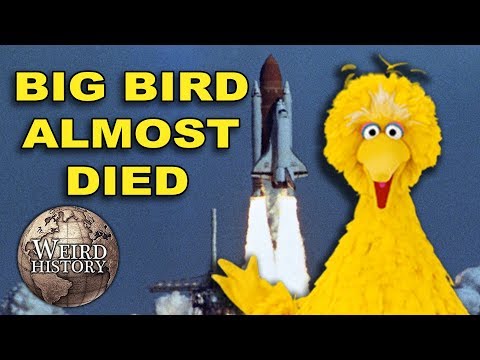 Big Bird Was Almost Onboard The Fatal Space Shuttle Challenger