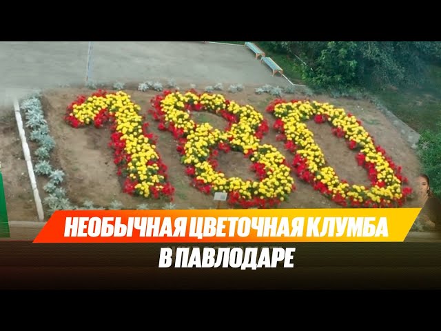 Необычная цветочная клумба в Павлодаре