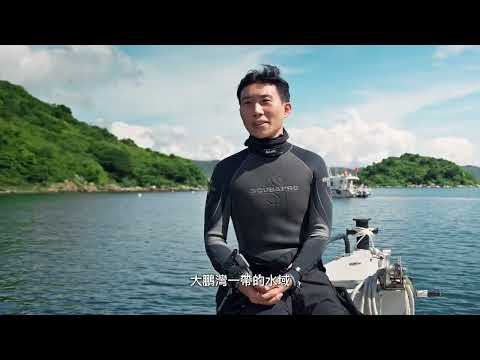 大鵬灣入選全國「美麗海灣優秀案例」