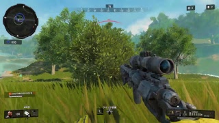 【COD BO4】ブラックアウト