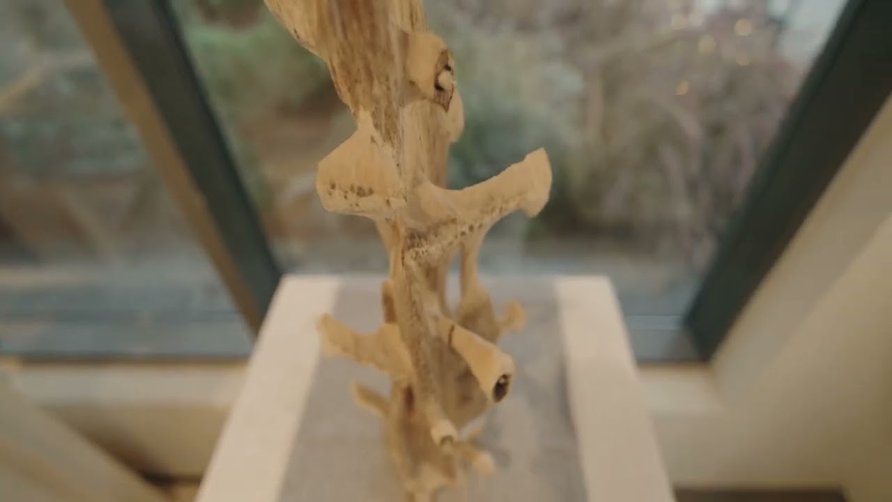 Experience The Groves Village