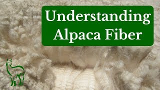 Understanding Alpaca Fiber