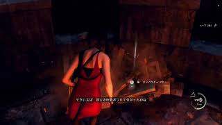 エイダならプロ武器商人縛りでも余裕でしょ...バイオRE4