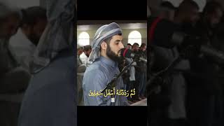 Download lagu Tenang tapi berirama - Surah At Tin. Syaikh Raad Al Kurdi mp3