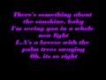 Sterling Knight And Anna Margaret Something About The Sunshine Lyrics