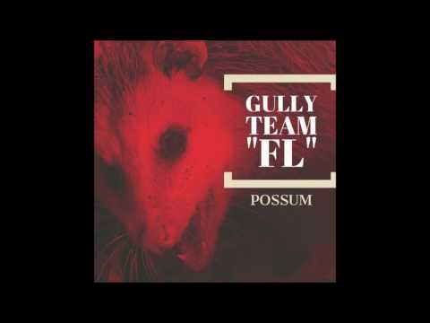 Gully Team "FL" Possum (Official Audio)