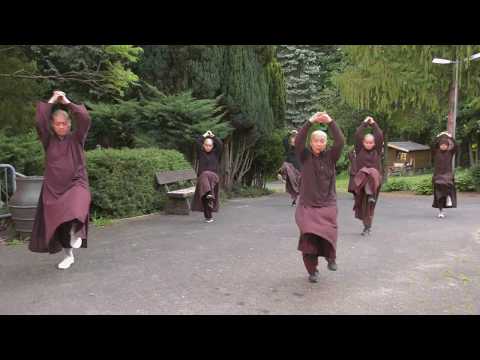 EIAB On-line Pfingsten Retreat - Morning Moving Meditation - 2020-06-01