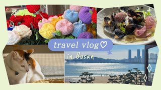 〔Vlog〕2025.01🇰🇷冬の釜山旅行2泊3日Vol.1🇰🇷🤍広安里¦ケントホテル🌊オーシャンビュー✨️¦海鮮カルグクス🐚¦雑貨屋さん巡り🧸¦センタムシティ