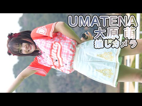 動画のタイトルなど