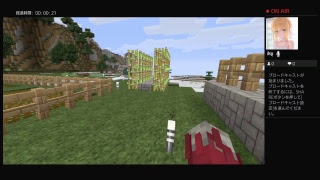 マイクラ！