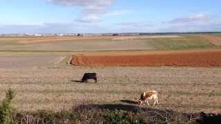 Relaxing Pill: Ah, sweet mystery of life!