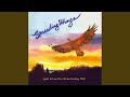 Lost in Dreams – Harp, Serene Electric Cello for a Mellow New Age Feel (Bonus Track)