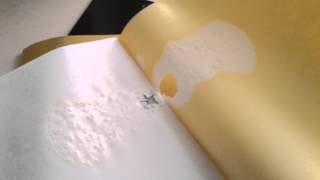 校簿被漂白水腐蝕 School Ex.Book was corroded by Bleach