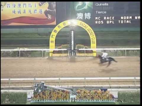 2017-02-24 Macau Meeting Race 5(0163) - THE DETROIT