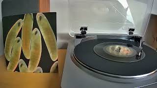 The Locust - Flight Of The Wounded Locust - 7 inch