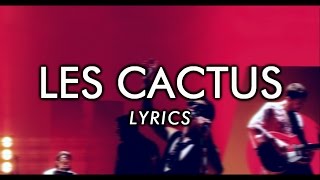 The Last Shadow Puppets - Les Cactus (English &amp; French lyrics)