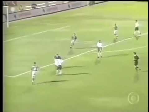 Aguinaldo Luiz Sorato (Gama) - 22/08/1999 - Palmeiras 0x2 Gama - 1 gol
