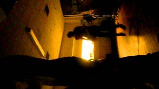 This or the Apocalypse - Lamnidae (live)