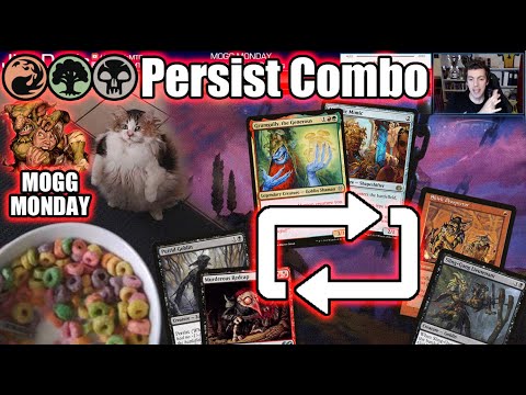 Mogg Monday: Episode 27 - Loop Doop Da Doop With Persist Combo Goblins (Modern)