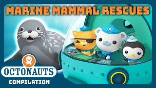 @Octonauts -  🦭 Marine Mammal Rescues ⛑️ | 2 Hours+ Full Episodes Marathon | Explore the Ocean