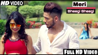 meri bheegi bheegi si palkon pe reh gaye New Version 2019
