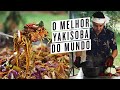 O MELHOR YAKISOBA DO MUNDO É FEITO COM CHURRASCO Receita Incrível Shorts