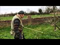 How To Prune Plum Trees And How Not To Prune Plum Trees