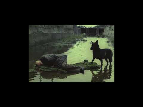 Luna Flowers, Sabana - FlowerWild (Slowed + Reverb)