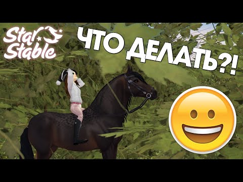 Теперь Star Rider ещё сложнее получить.. в 2023 - Star Stable