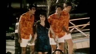 The Seekers   Myra 1964