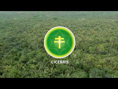AGROFLORESTA JURAMIDÃ - CICEBRIS Estrela Brilhante/MA _ Santo Daime
